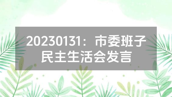 20230131：市委班子民主生活会发言
