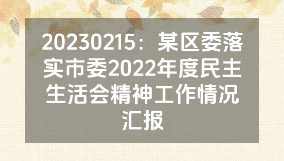 20230215：某区委落实市委2022年度民主生活会精神工作情况汇报