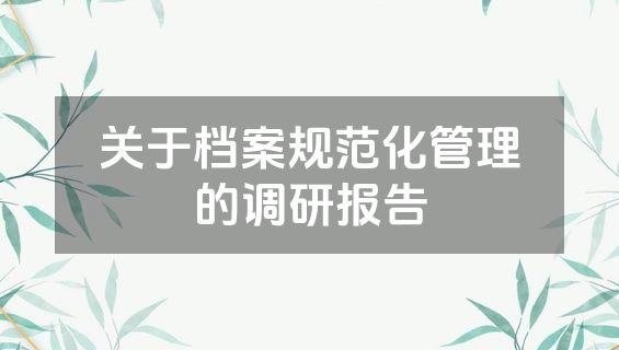 关于档案规范化管理的调研报告
