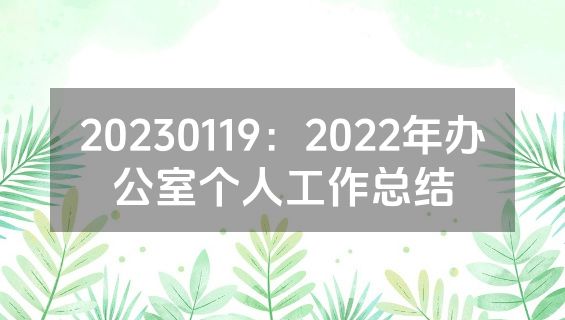20230119：2022年办公室个人工作总结