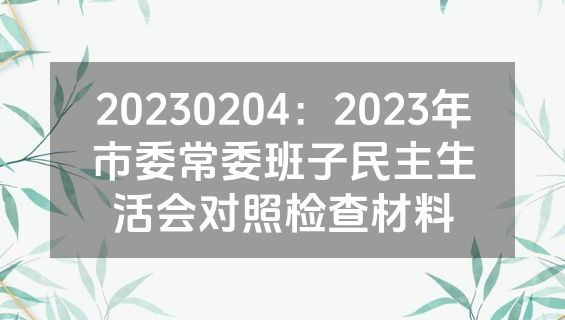 20230204：2023年市委常委班子民主生活会对照检查材料