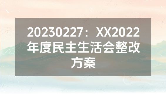 20230227：XX2022年度民主生活会整改方案