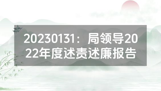 20230131：局领导2022年度述责述廉报告