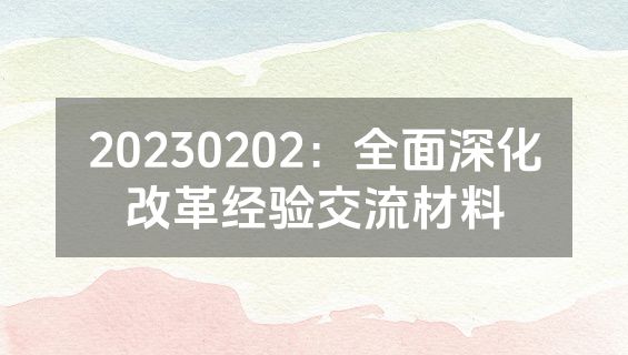 20230202：全面深化改革经验交流材料
