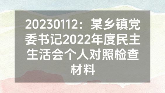20230112：某乡镇党委书记2022年度民主生活会个人对照检查材料