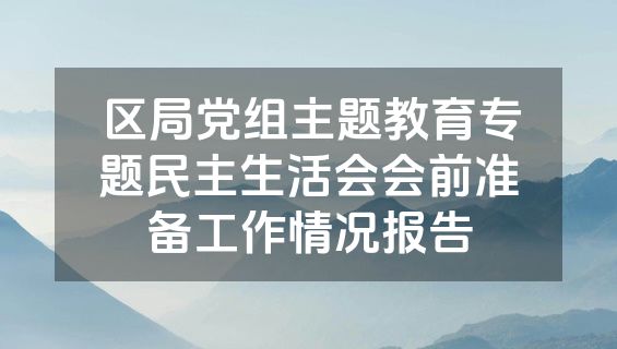 区局党组主题教育专题民主生活会会前准备工作情况报告