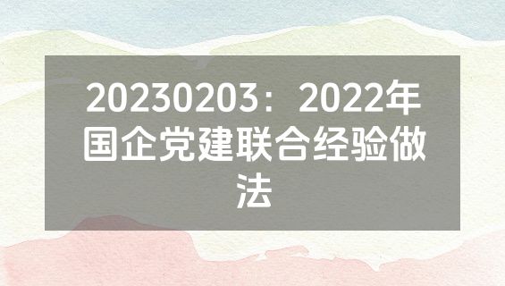 20230203：2022年国企党建联合经验做法