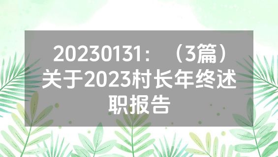 20230131：（3篇）关于2023村长年终述职报告