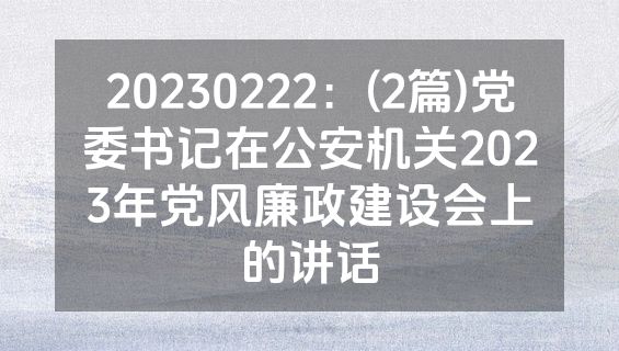 20230222：(2篇)党委书记在公安机关2023年党风廉政建设会上的讲话