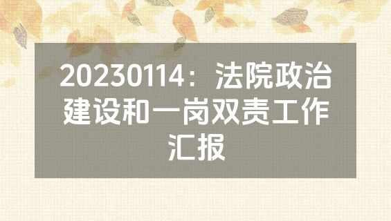 20230114：法院政治建设和一岗双责工作汇报