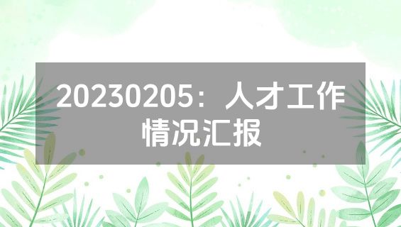 20230205：人才工作情况汇报