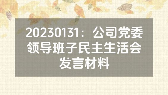 20230131：公司党委领导班子民主生活会发言材料