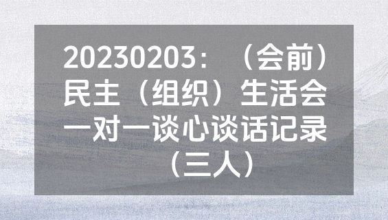 20230203：（会前）民主（组织）生活会一对一谈心谈话记录（三人）