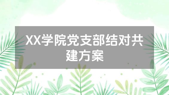 XX学院党支部结对共建方案
