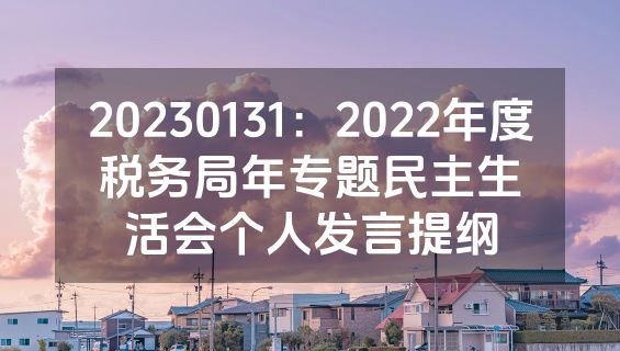 20230131：2022年度税务局年专题民主生活会个人发言提纲