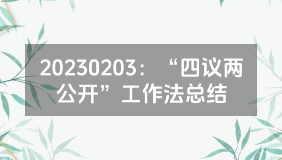 20230203：“四议两公开”工作法总结