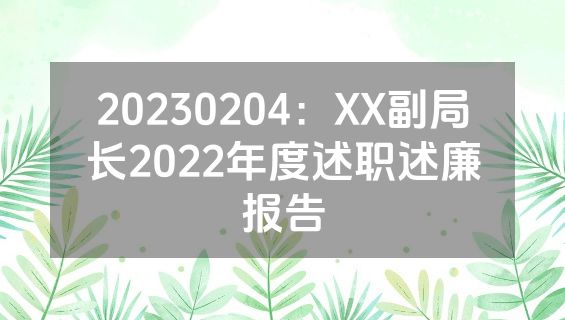 20230204：XX副局长2022年度述职述廉报告