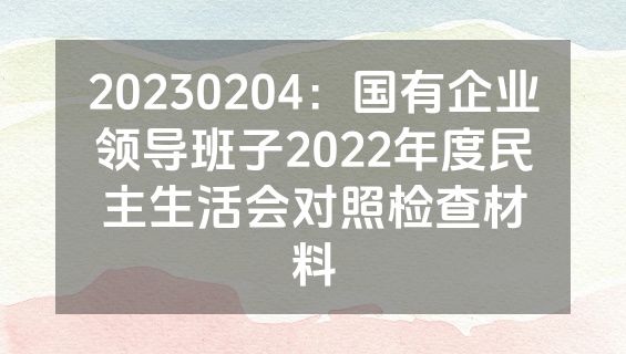 20230204：国有企业领导班子2022年度民主生活会对照检查材料