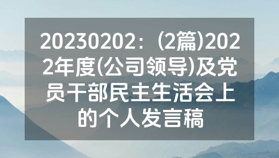 20230202：(2篇)2022年度(公司领导)及党员干部民主生活会上的个人发言稿