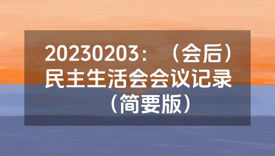 20230203：（会后）民主生活会会议记录（简要版）