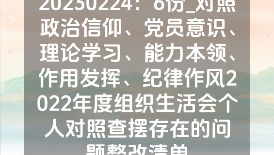 20230224：6份_对照政治信仰、党员意识、理论学习、能力本领、作用发挥、纪律作风2022年度组织生活会个人对照查摆存在的问题整改清单