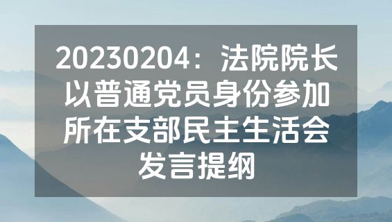 20230204：法院院长以普通党员身份参加所在支部民主生活会发言提纲