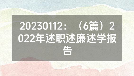 20230112：（6篇）2022年述职述廉述学报告