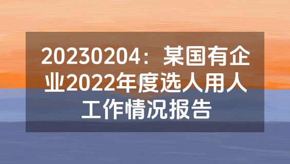20230204：某国有企业2022年度选人用人工作情况报告