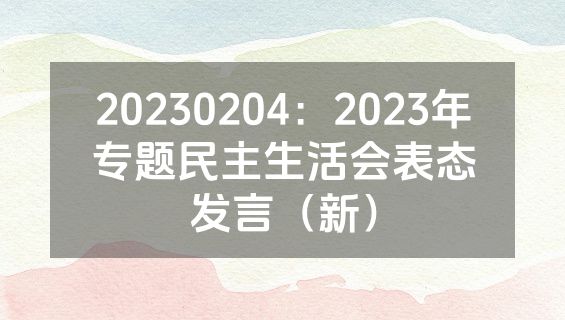 20230204：2023年专题民主生活会表态发言（新）
