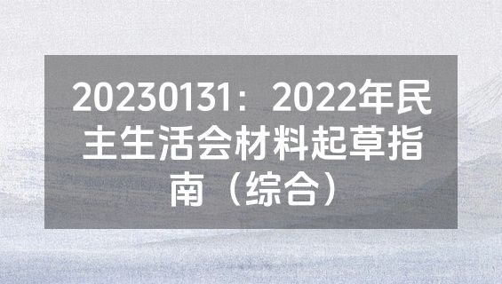 20230131：2022年民主生活会材料起草指南（综合）