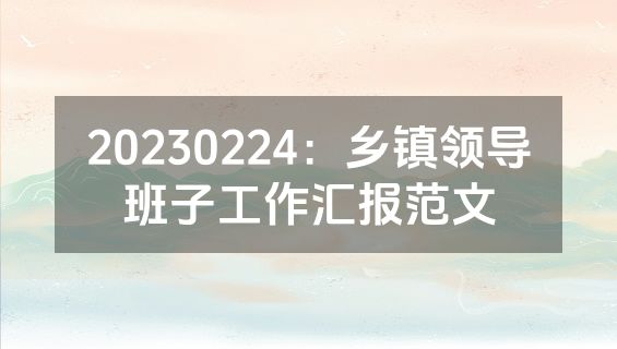 20230224：乡镇领导班子工作汇报范文