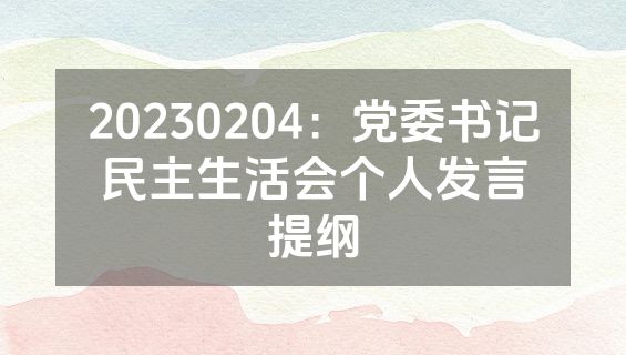 20230204：党委书记民主生活会个人发言提纲
