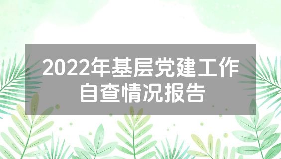 2022年基层党建工作自查情况报告