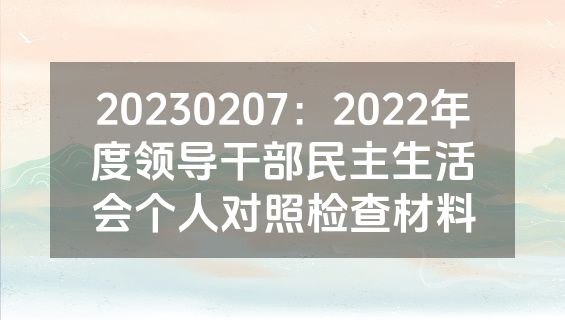 20230207：2022年度领导干部民主生活会个人对照检查材料