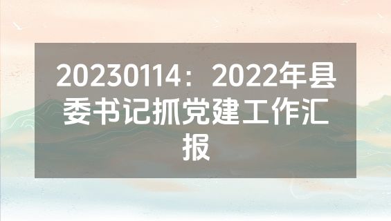 20230114：2022年县委书记抓党建工作汇报