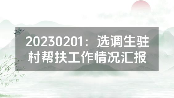 20230201：选调生驻村帮扶工作情况汇报