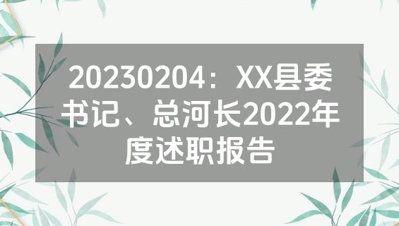 20230204：XX县委书记、总河长2022年度述职报告