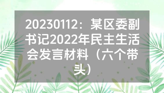 20230112：某区委副书记2022年民主生活会发言材料（六个带头）