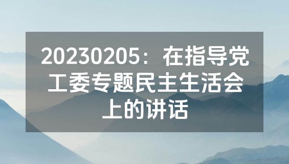 20230205：在指导党工委专题民主生活会上的讲话