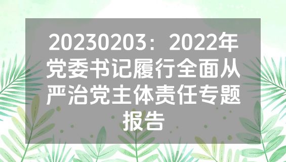 20230203：2022年党委书记履行全面从严治党主体责任专题报告