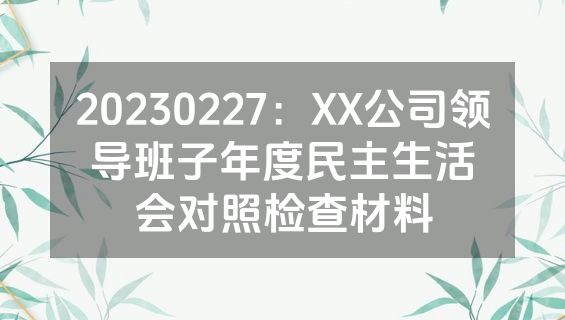 20230227：XX公司领导班子年度民主生活会对照检查材料