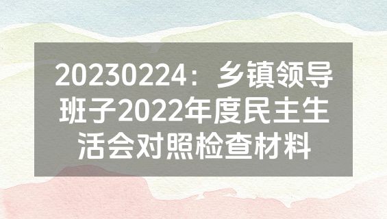 20230224：乡镇领导班子2022年度民主生活会对照检查材料