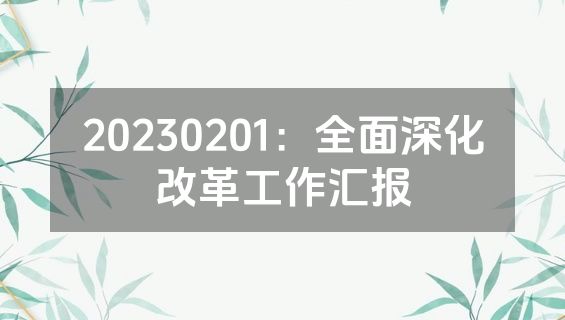 20230201：全面深化改革工作汇报