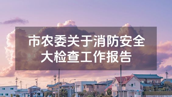 市农委关于消防安全大检查工作报告