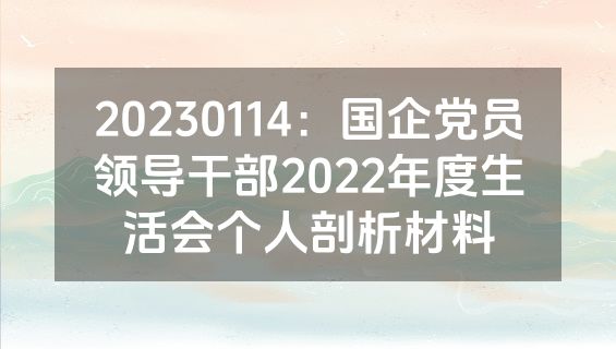 20230114：国企党员领导干部2022年度生活会个人剖析材料