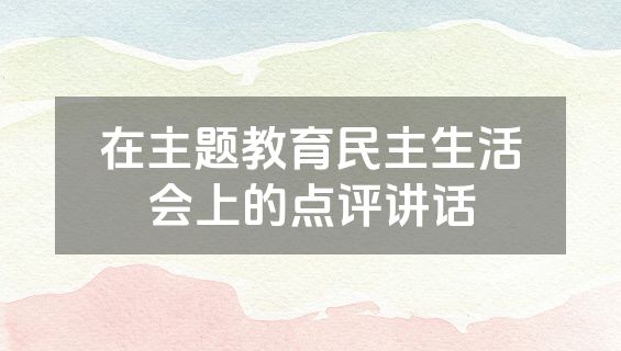 在主题教育民主生活会上的点评讲话
