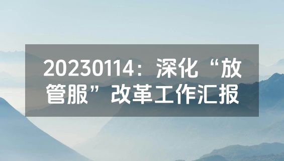 20230114：深化“放管服”改革工作汇报