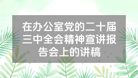 在办公室党的二十届三中全会精神宣讲报告会上的讲稿