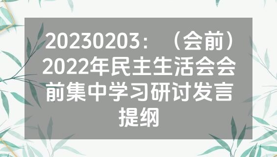 20230203：（会前）2022年民主生活会会前集中学习研讨发言提纲