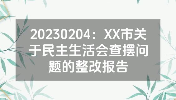 20230204：XX市关于民主生活会查摆问题的整改报告